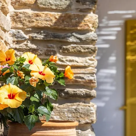 Like Tatil Evi Istérnia