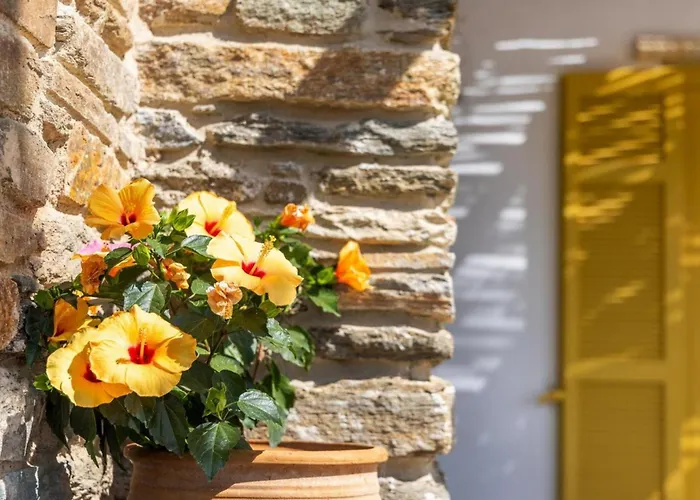 Like Сasa de vacaciones Istérnia